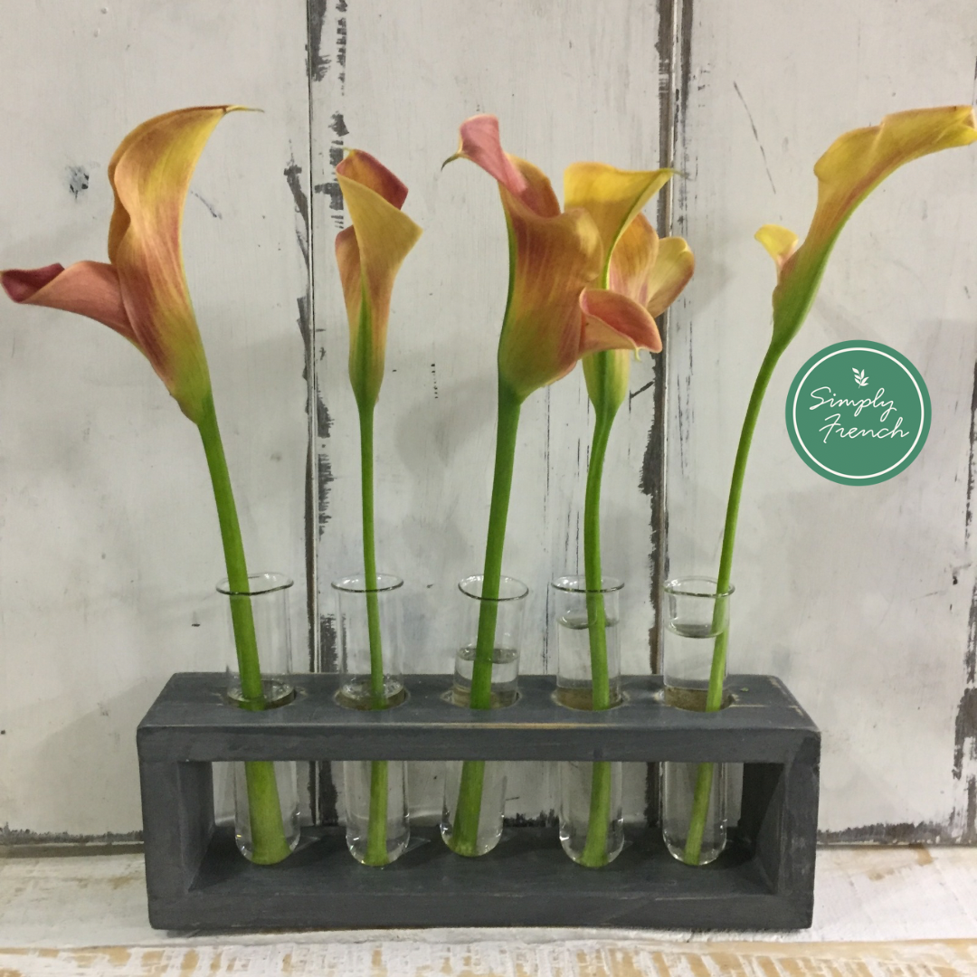 two tier test tube holder