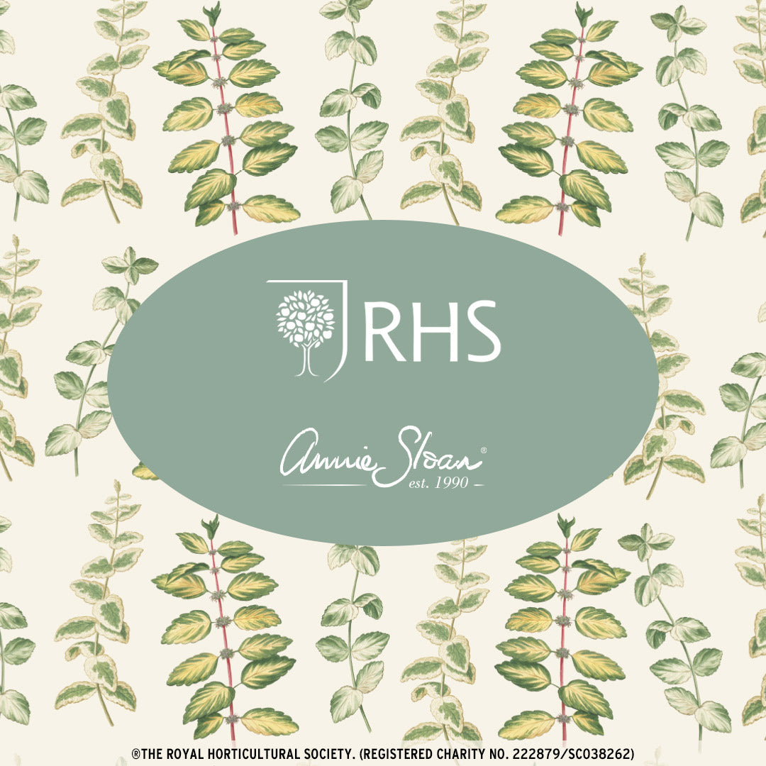 RHS Mint Decoupage paper
