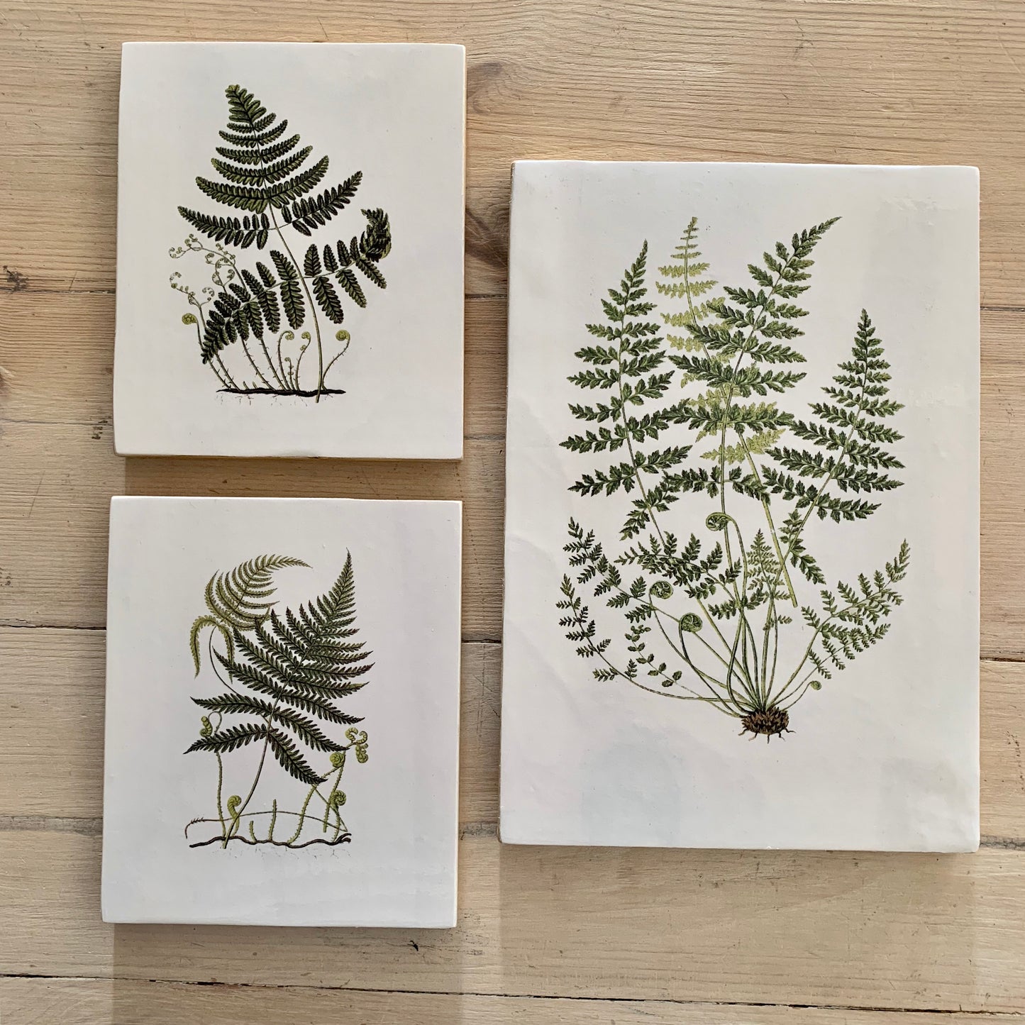 botanical block mounted wall art