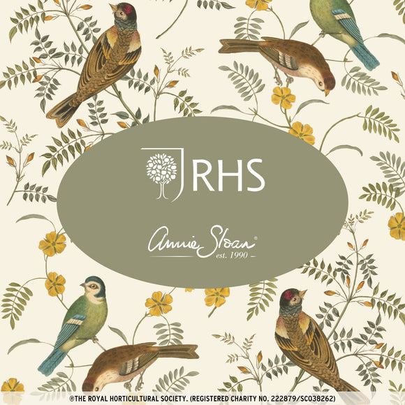 RHS Singbirds  Decoupage paper