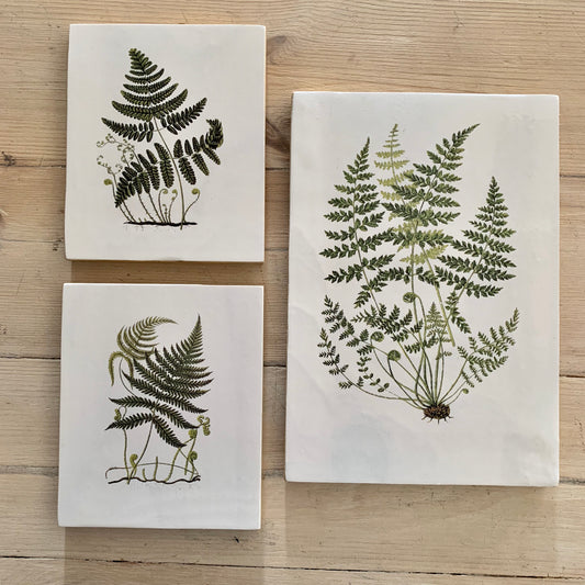 botanical block mounted wall art